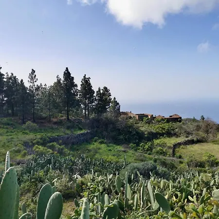 Tierrazul Art Boutique White Nordic Appartement Costa Adeje (Tenerife)